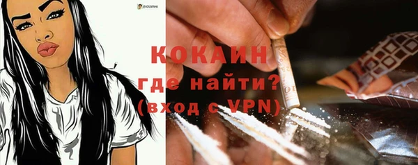 дмт Снежногорск