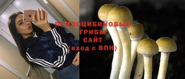 винт Алзамай