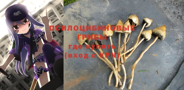 винт Алзамай