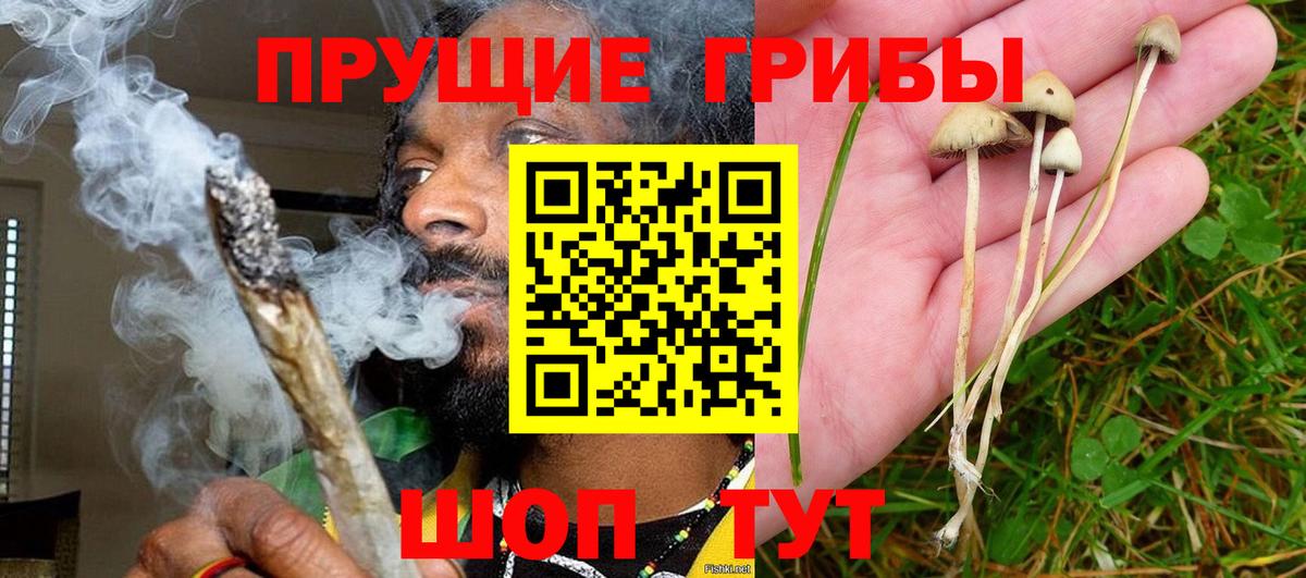 Галлюциногенные грибы ЛСД  Вход с VPN  Галлюциногенные грибы Psilocybine cubensis  Алушта 