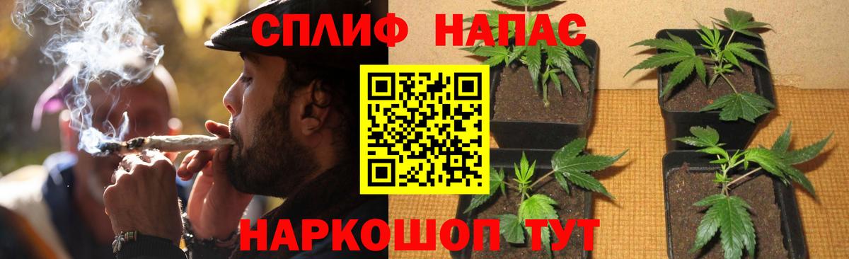 ГАШИШ Алушта